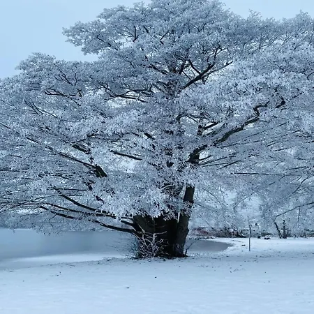 Σπίτι διακοπών Im Mirow Granzow